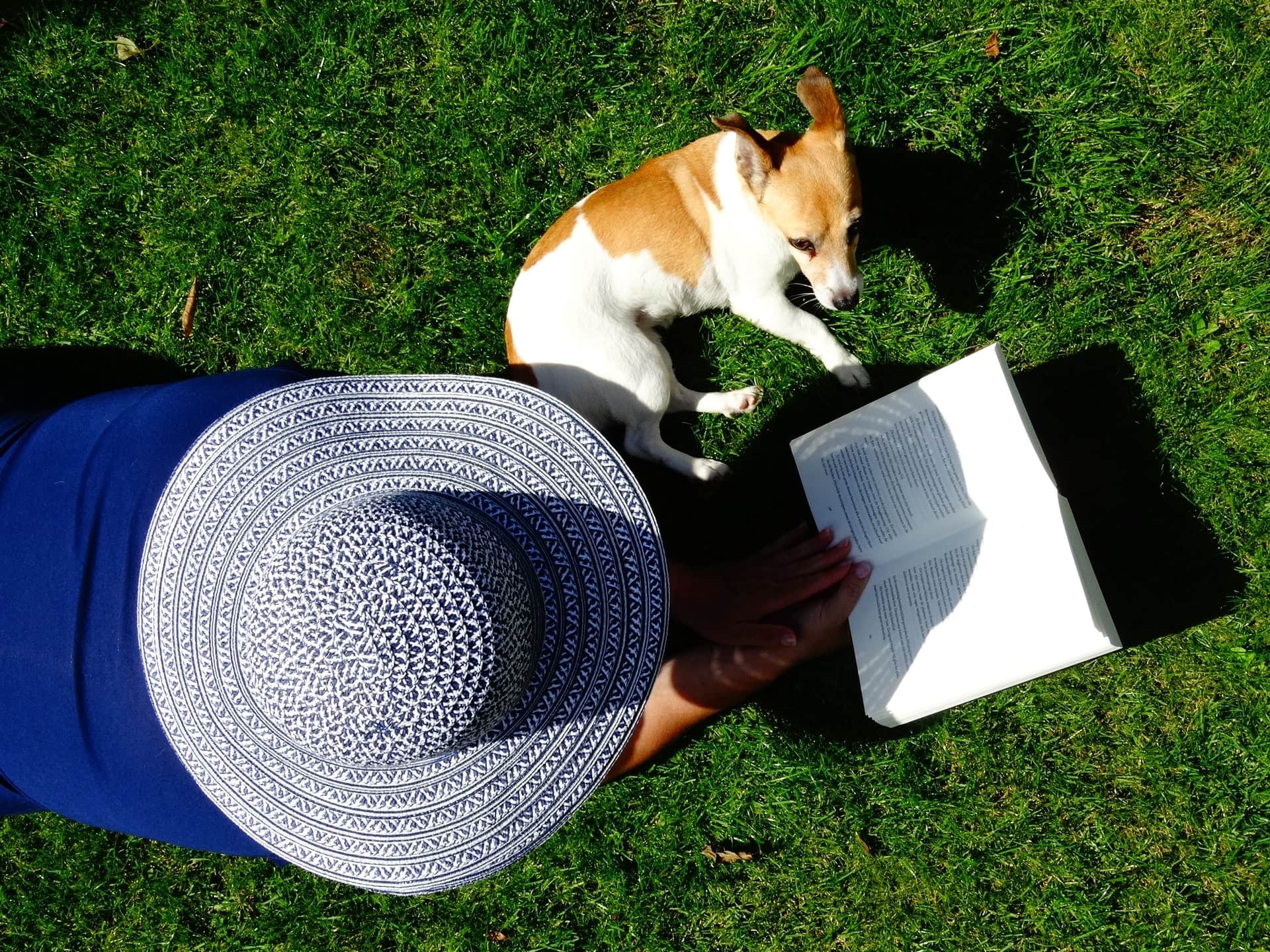 woman in big blue hat on the grass reading with dog VENTUREWRITE blog what's your story